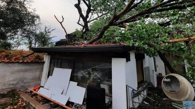Maltempo, alberi caduti hanno provocato danni ad abitazioni, auto, interrotto la viabilità
