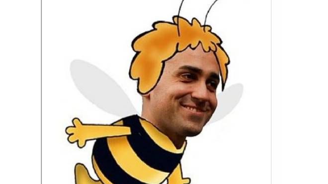 L'ape Gigi dopo la campagna elettorale modello Darty dancing