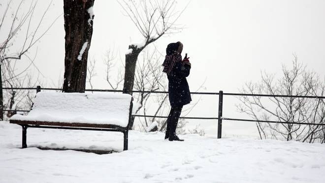 Neve in Lombardia (Fotolive)