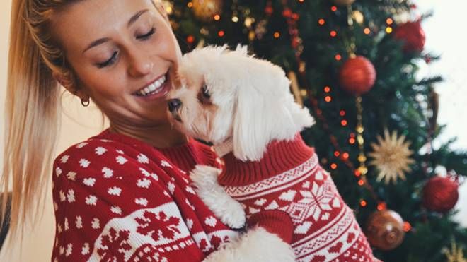 Cane e padrona vestiti uguali per Natale