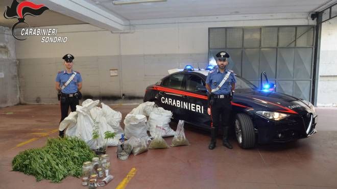 La marijuana e l'attrezzatura sequestrata dai carabinieri di Sondrio