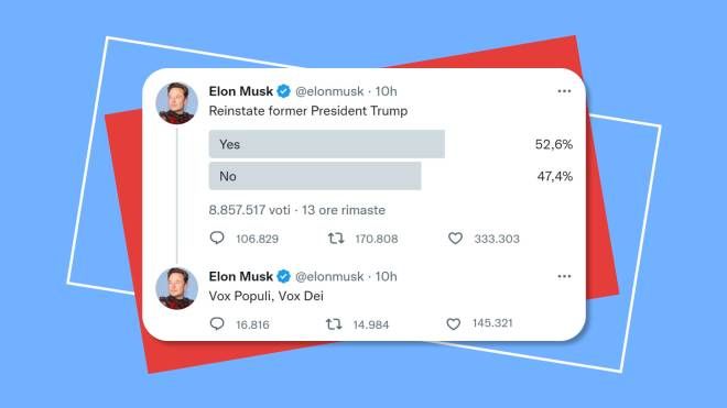 Il sondaggio di Elon Musk per riammettere Trump su Twitter (ore 12.00)